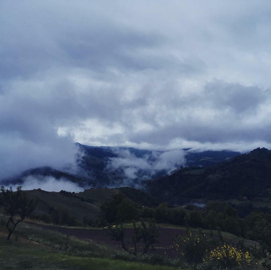 B&B Agriturismo Casa Vallona Monte San Pietro エクステリア 写真